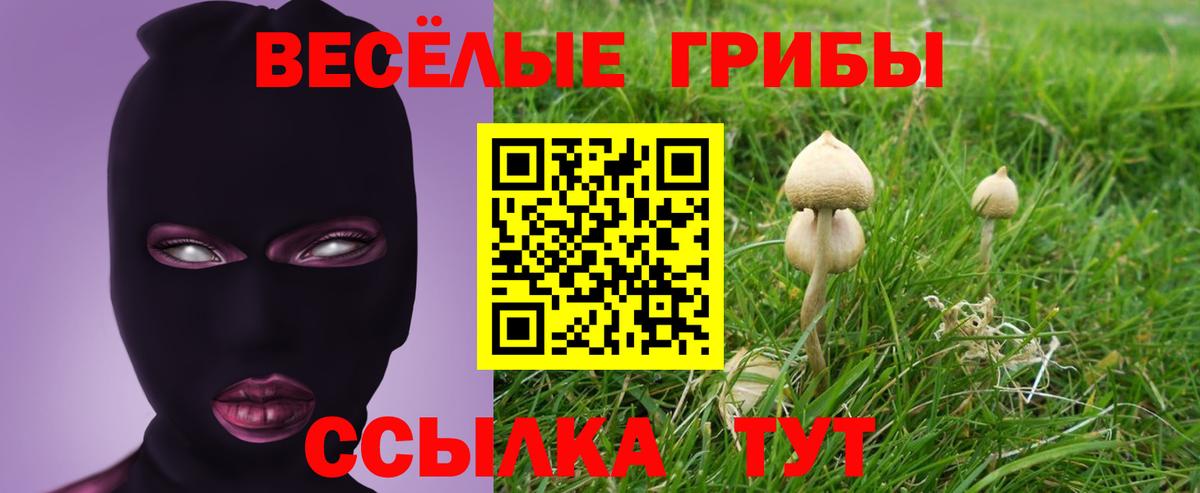 Псилоцибиновые грибы Magic Shrooms Кулебаки