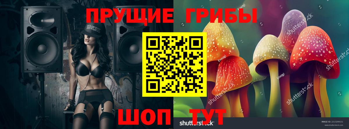 Кулебаки  где купить наркоту  Вход с VPN  Галлюциногенные грибы Psilocybe 